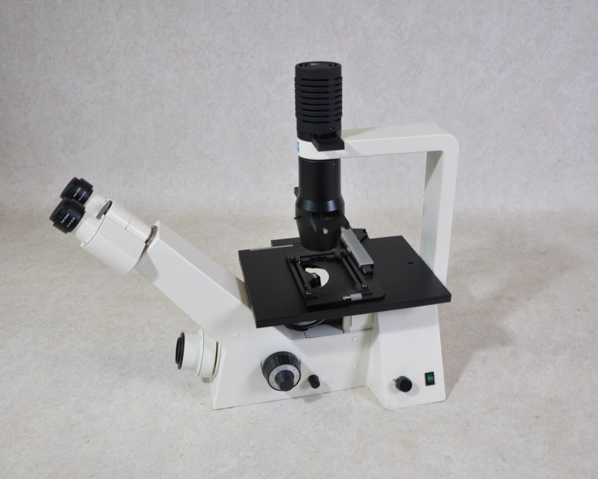 Zeiss Axiovert 25 microscope Gemini BV